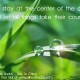 Inspirational image from Stillness Buddy